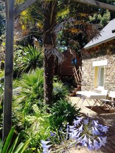 a tropical garden with a palm tree and purple flowers at Au chat qui pêche in Pléguien