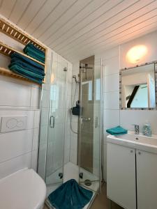 a bathroom with a shower and a toilet and a sink at Ferienhaus in der Rhön Sitzmann in Bischofsheim an der Rhön +77 photos