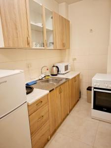 a kitchen with a sink and a microwave at Clarissa apartment City Kvart in Podgorica +16 photos