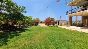 Jardí fora de Casa Bugambilia