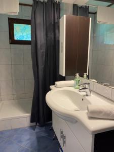 a bathroom with a sink and a shower curtain at Fichtenblockhütte in Sonnenalpe Nassfeld