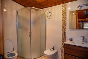 a bathroom with a shower with a toilet and a sink at O rincón de Agrón in Melide +30 photos