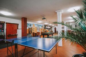 a room with a ping pong table in it at Penzion U Kmotra in Borovany