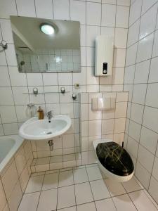 a bathroom with a sink and a toilet and a mirror at Apartment mit Balkon - Nähe CHIO Aachen in Herzogenrath +19 photos