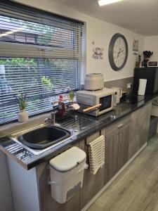 a kitchen with a sink and a microwave at Nett'Als Lodge Studio Apartment in Derby