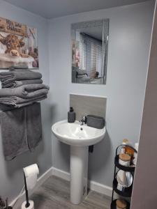 a bathroom with a sink and a mirror and towels at Nett'Als Lodge Studio Apartment in Derby