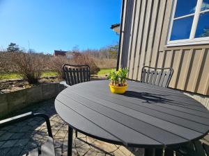 a black table with a potted plant on a patio at Fahléns 10 Villa in Jomala