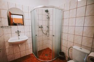a bathroom with a shower and a sink at Penzion U Kmotra in Borovany +27 photos