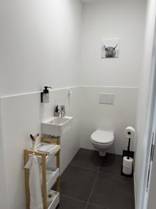 a white bathroom with a toilet and a sink at GMA Studio Apartment im Zentrum in Bad Ischl +8 photos