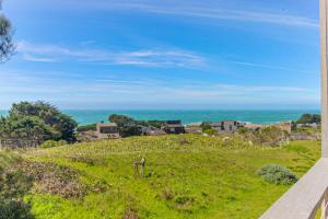 a gazelle standing in a grassy field with the ocean at Gewing House in Sea Ranch