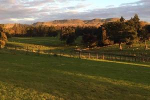 a green field with a fence and trees and mountains at The Manor House, Killearn in Killearn