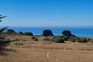an open field with the ocean in the background at Seas the Day in Sea Ranch