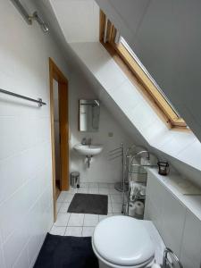 a bathroom with a toilet and a sink at Ferienwohnung Menz Liliensteinblick in Pfaffendorf +8 photos