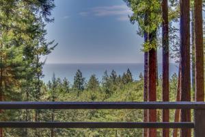 a view of the ocean through the trees at The Redwood House in Fish Rock