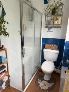 a bathroom with a toilet and a shower at Dream view holiday home in Castletown +17 photos