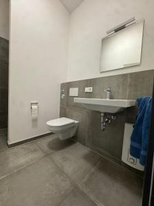 a bathroom with a toilet and a sink and a mirror at Horgau Living in Horgau +3 photos