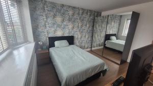 a bedroom with a bed and a mirror and a tub at Brooklyn House in Elmers End