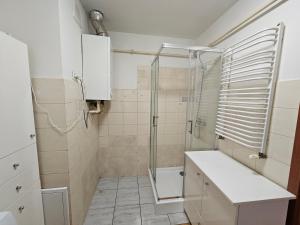 a bathroom with a shower and a sink at Cudowne poddasze in Piotrków Trybunalski