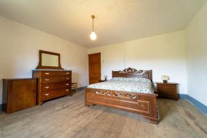 a bedroom with a bed and a dresser and a mirror at Balocco Countryside Home 1908 - Barga in Sommocolonia