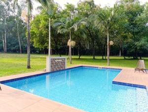 a swimming pool in a park with palm trees at Hotel Sancer in Coronel Oviedo