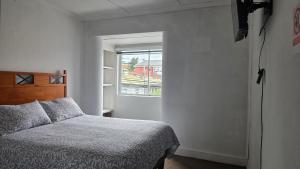 a bedroom with a bed and a window at Alojamiento Centro de Punta Arenas in Punta Arenas +11 photos