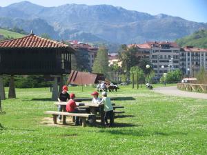 Un grupo de personas sentadas en una mesa de picnic en un parque. en Camping Sella, en Arriondas