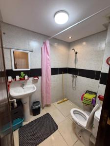 a bathroom with a sink and a toilet and a shower at Dar AMIRA in Ben Yakhlef +20 photos