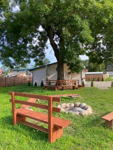 a group of benches sitting under a tree at Motel Level 2 in Miastko