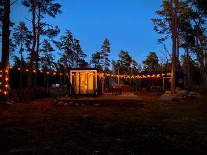 a cabin in the woods at night with lights at Hidden Hiiumaa Seaside Cottage in Kõrgessaare