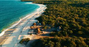 an aerial view of a beach with trees and the ocean at Basecamp Changani in Dar es Salaam