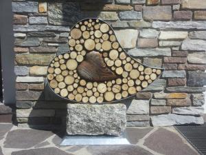 Fotografie z fotogalerie ubytování Appartement Catrin mit Sauna und E-Ladestation v destinaci Ried im Zillertal