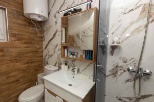 a bathroom with a sink and a toilet and a shower at Familija in Belgrade +30 photos