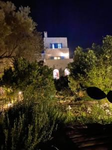 a building at night with trees in front of it at Aiolos in Skala +35 photos