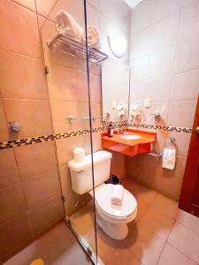 ein Badezimmer mit Toilette, Dusche und Waschbecken in der Unterkunft Maya Campeche Hotel in Campeche