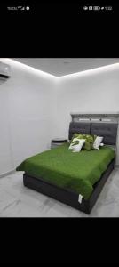a bed with a green blanket and pillows on it at Gemela1 in Puerto Peñasco +26 photos