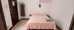 a small room with a bed with a pink blanket at Casa Rosanna in Campeche