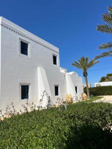 a white house with a palm tree in front of it at Houch Ennejma in Al Ḩārah al Kabīrah