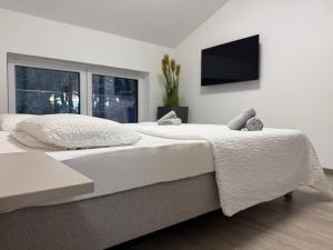 two beds in a bedroom with a tv on the wall at Modernes Ferienhaus am See mit Garten in Wiefelstede