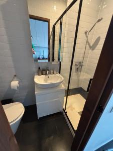 a bathroom with a toilet and a sink and a shower at Cosy Newtown apartment in Vilnius