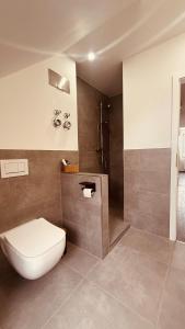 a bathroom with a toilet and a shower at Dachwohnung mit Südbalkon Sauna und Strandkorb in Mühlhausen
