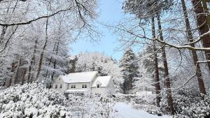 a house covered in snow in the woods at A Calm & Quiet Stay in Wuustwezel +48 photos