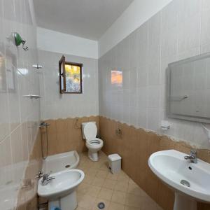 a bathroom with a toilet and a sink at Orikum Holiday Apartaments in Orikum +35 photos