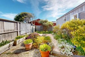 a garden with potted plants and a fence at Elizabeth Dane in Sea Ranch +10 photos