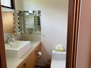 a bathroom with a sink and a toilet and a mirror at Madrone Meadow in Sea Ranch