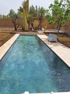 a swimming pool with blue water in a yard at loft B in Fez +8 photos