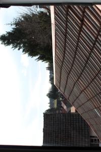 a tree in front of a building with a roof at Fewo HARZ Benneckenstein in Benneckenstein