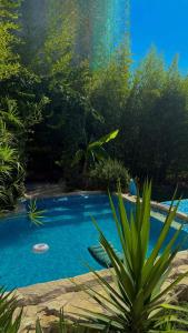 a pool with blue water in a garden at Apartmani VERONA in Bijela +33 photos