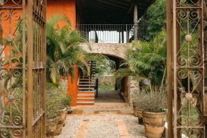 an entrance to a garden with palm trees and plants at El Mesón de Don José in La Mesa