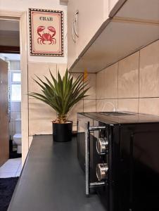 a kitchen with a counter with a plant on it at Hotel Style Room within Reading in Reading