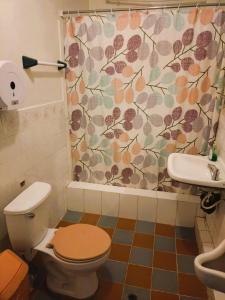 a bathroom with a toilet and a shower curtain at La Casa del Manzano in Puno +27 photos